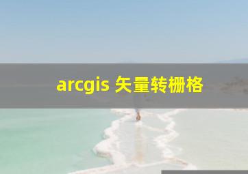 arcgis 矢量转栅格